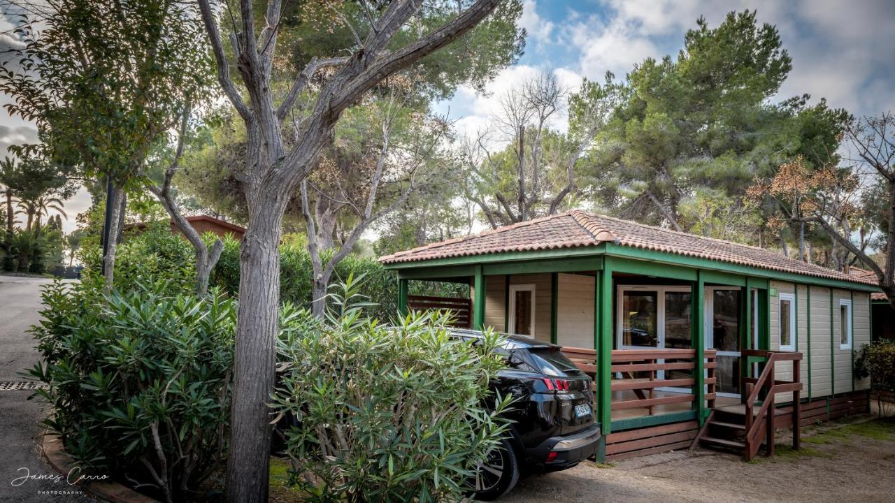 Camping Vilanova Park 3*